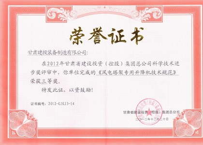 風(fēng)電塔架專(zhuān)用升降機(jī)技術(shù)規(guī)范科技進(jìn)步獎(jiǎng)